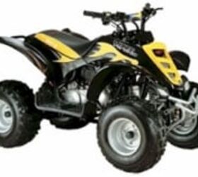 2006 E-TON Viper 2-Stroke 90R | ATV.com