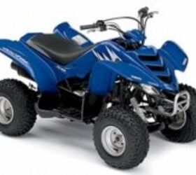 2006 Yamaha Rhino 450 Auto 4x4 | ATV.com