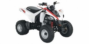 2009 can am ds 250