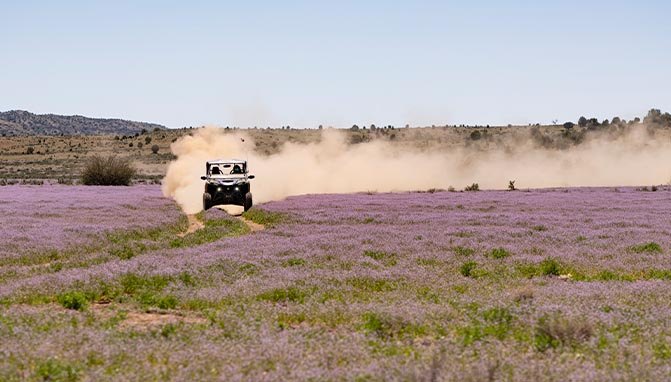 taking an adventure and making memories in yamaha s rmax 1000, Our ride back to Sand Hollow was a little faster paced than the previous day but we still came across plenty of areas where the wildflowers were in bloom giving our group some breathtaking scenery