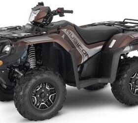 2021 Honda FourTrax Foreman® Rubicon 4x4 Automatic DCT EPS Deluxe