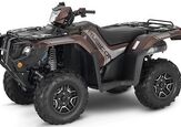 2021 Honda FourTrax Foreman® Rubicon 4x4 Automatic DCT EPS Deluxe