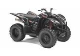 2007 Yamaha Wolverine® 450 4x4 Special Edition