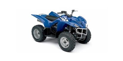 2006 Yamaha Wolverine® 450 4x4