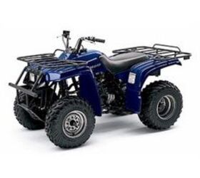 2004 Yamaha BearTracker® Base