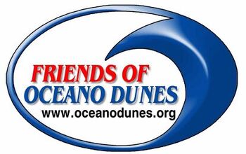 Friends of Oceano Dunes Scores Huge Win Over Dune Closures