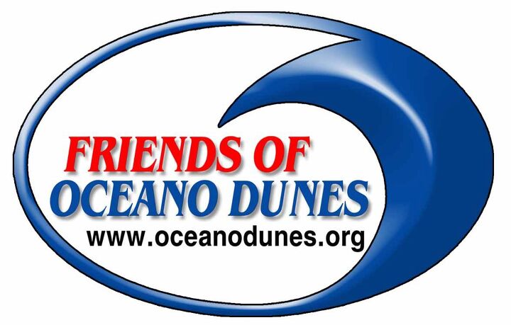 Friends of Oceano Dunes Scores Huge Win Over Dune Closures