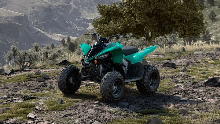 what to look for when buying a used atv or sxs