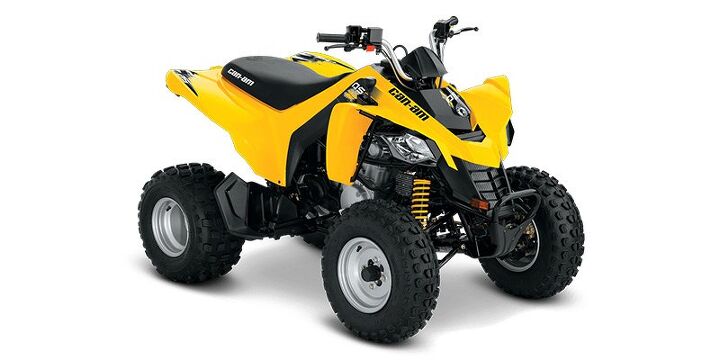 2019 Can Am DS 250