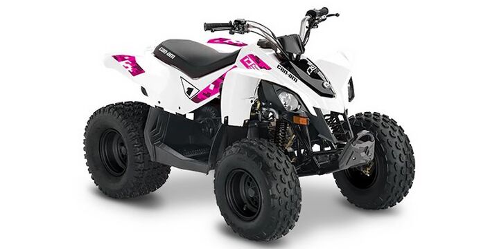 2019 Can Am DS 70