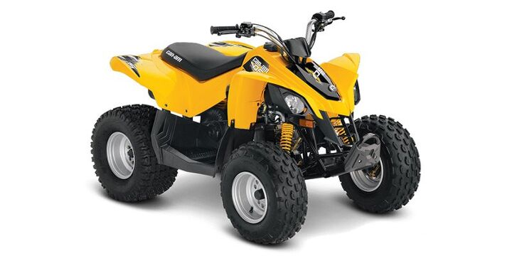 2016 Can Am DS 90