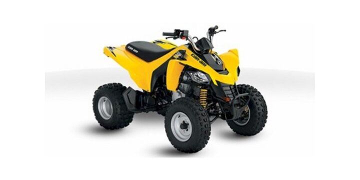 2015 Can Am DS 250