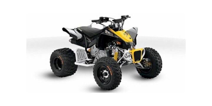2014 Can Am DS 90 X