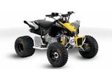 2013 Can-Am DS 90 X