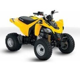 2010 Can Am DS 250