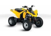 2010 Can-Am DS 250