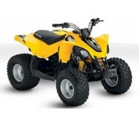 2010 Can Am DS 90
