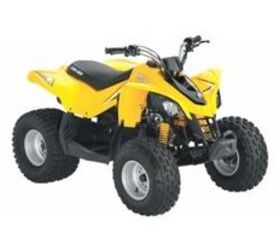 2009 Can Am DS 70