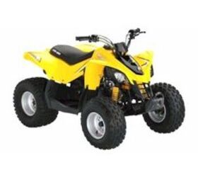 2009 Can Am DS 90