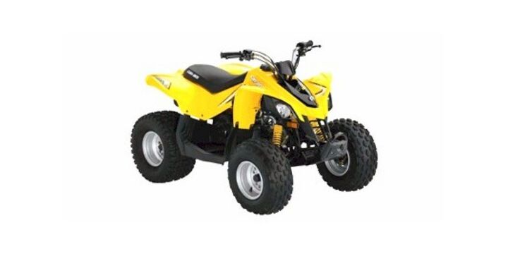 2009 Can Am DS 90