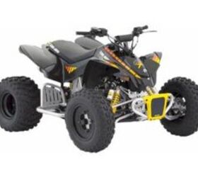 2009 Can-Am DS 90 X