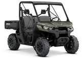 2019 Can-Am Defender DPS HD10