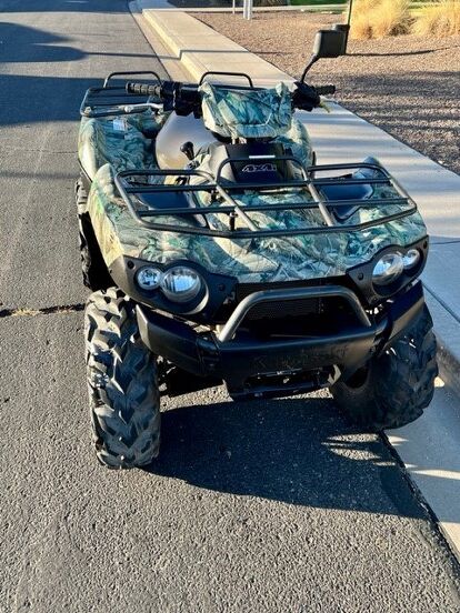 Great Deal- 750 Vtwin Brute Force