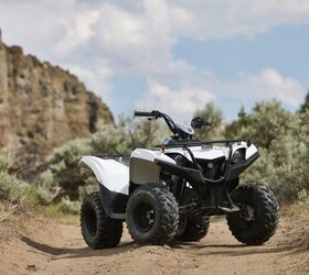 Yamaha's Unreleased Youth ATV Will "Bear" a CARB Certification