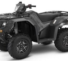 2025 Honda FourTrax Foreman® Rubicon 4x4 Automatic DCT EPS Deluxe