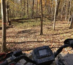 The coverage and camouflage of fall colors is prime for animals to hide. Photo Credit: Ross Ballot