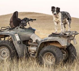 With the addition of racks Quads became workhorses on farms, with hunters, and even towing race cars and toolboxes in professional race car pits. It can even haul your best four-legged friend to work and adventure with you. Photo Credit: Pixabay