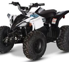 2023 Kayo Bull 180 | ATV.com