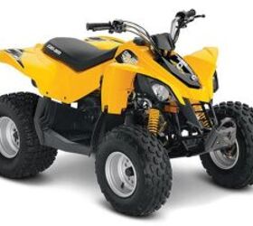 2016 Can-Am DS 90