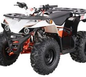 2025 Kayo Bull 110