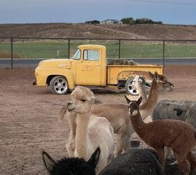 polaris ranger xp kinetic ultimate meets the farm