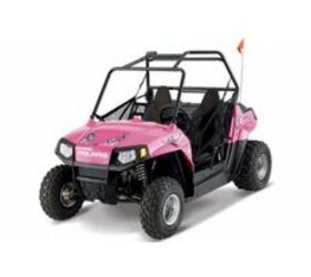 2010 Polaris Ranger® RZR® 170