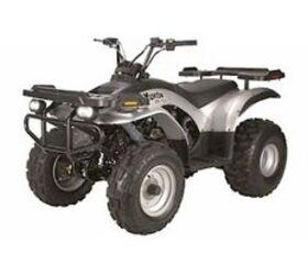 2006 E-TON Viper 4-Stroke 150R | ATV.com