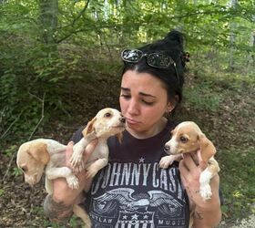 woman on kentucky atv trail rescues 10 puppies abandoned in woods