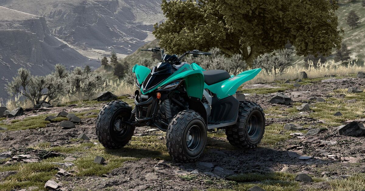 Atv Com What to Look For When Buying a Used ATV or SxS | ATV.com